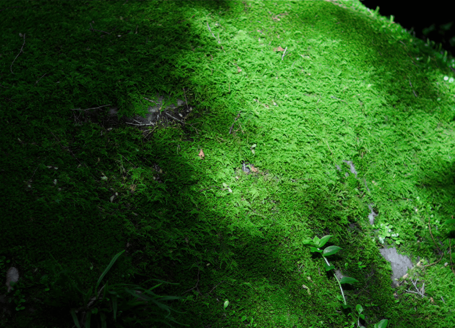 会社概要イメージ